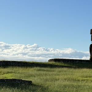 Chroniques de Rapa Nui (île de Pâques), par Alain Amiel