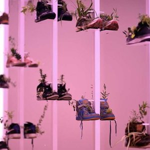 3 oeuvres de Michel Blazy exposées à la Villa Sauber – NMNM