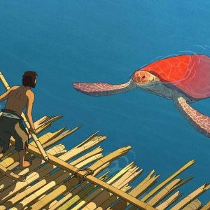 Film d'animation : La tortue rouge De Michael Dudok de Wit