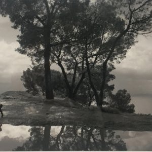 Photo : le monde selon Sammallahti