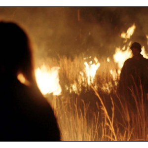 « Les Moissonneurs » d'Etienne Kallos