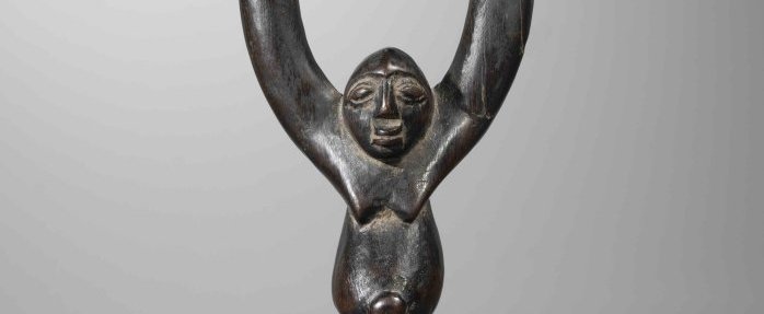 Exposition : L'art de faire mouche !