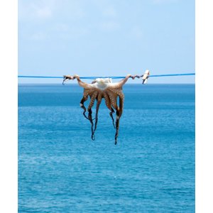 Le CIRM : pas de temps mort dans sa partition ! 