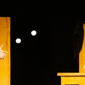 Anthéa - A tiroirs ouverts : un pavé lancé dans la mare du cirque traditionnel !