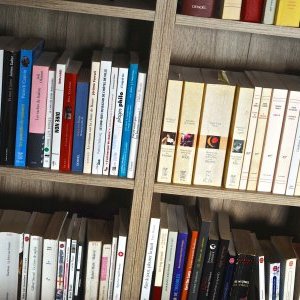 Prix Baie des Anges : les romans en lice