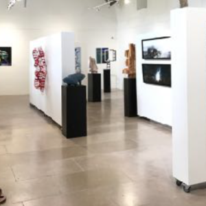 Avril et les Bozo à la Falaise