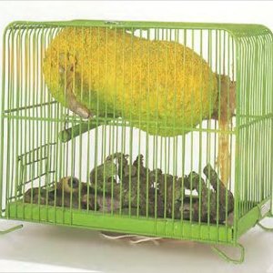 DOLE : Edward Kienholz, Tetsumi Kudo, Art contemporain à tous les étages