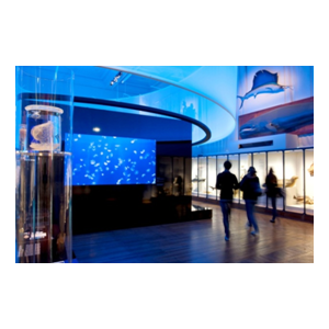  Vacances de février : Venez-vous amuser en famille