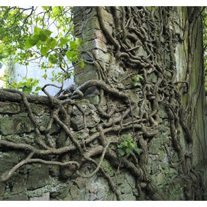 FREJUS : Sur les traces de Malpasset de Michel EISENLOHR