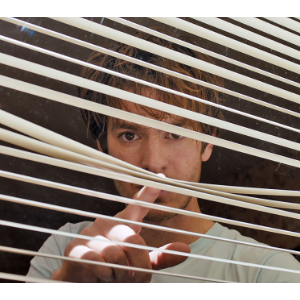 Under the Silver Lake, de David Robert Mitchell