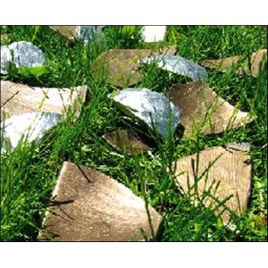 Daniel Rothbart : "44" !