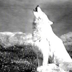 Beau comme un symptôme par Le Quartel