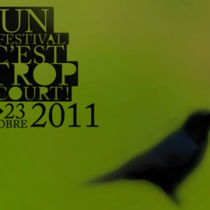 Un Festival c'est trop court !