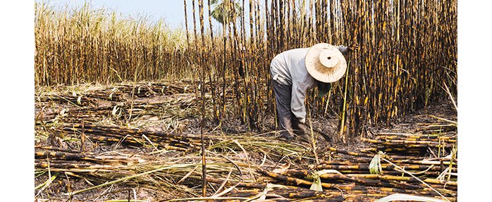 Le théâtre National de Nice présente « Terre noire », une création originale engagée