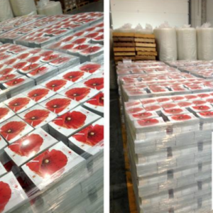  Culturo, Terre de festivals : l'agenda culturel en Provence-Alpes-Côte d'Azur disponible depuis le 10 juin