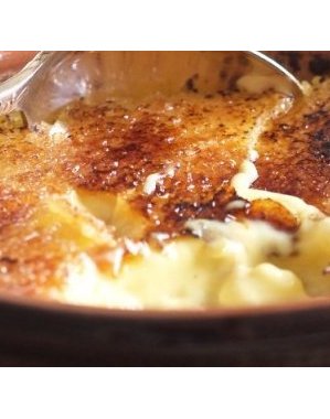 26 août 2015 Newsletter 