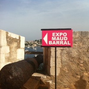 Franchement Art : l'édition 2011 en vidéo ! 