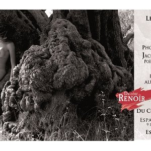 L'olivier, instrument d'art 