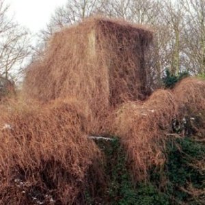 Exposition monographique de Dominique Ghesquière + une sélection des EDITIONS P