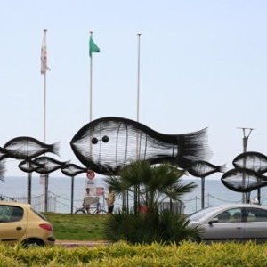 Le Banc de Poissons change de bocal !