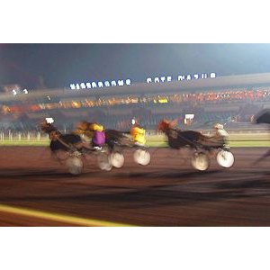 LES NUITS D'ÉTÉ de L'HIPPODROME 