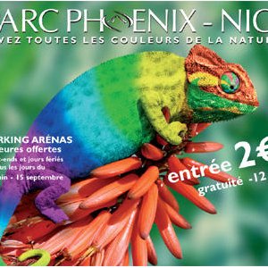 Sur la Piste des Origines 