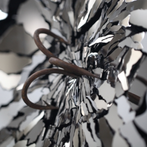 Exposition « Requins » au Musée océanographique de Monaco