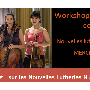 Le CIRM organise un Workshop sur les Nouvelles Lutheries Numériques