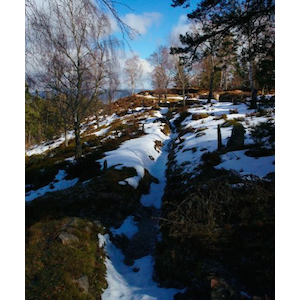 Exposition "Des Alpes aux Vosges" à Nice