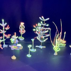 Exposition « a rose is a petunia is a mimosa » à la Galerie Eva Vautier 