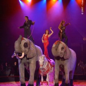 35 ème Festival du Cirque de Monte Carlo