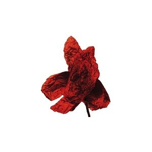 Nice : le Théâtre de la Photographie et de l'Image expose le travail de Denis Brihat entre 1958 et 2011