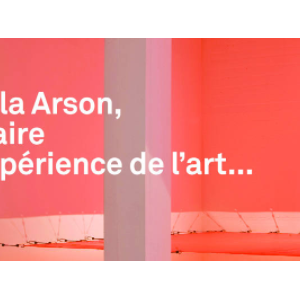 Villa Arson, Ecole nationale supérieure d'art : inscriptions ouvertes au Concours d'entrée 2017 