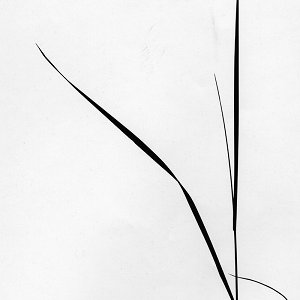 Chronique d'un galeriste