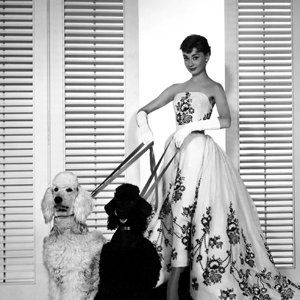 Audrey Hepburn redonne vie à Sabrina à la Cinémathèque de Nice