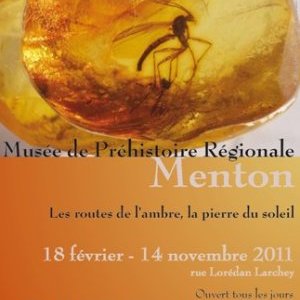 Les routes de l'ambre, la pierre du soleil