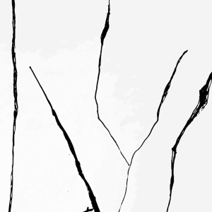 Denis Gibelin, "Le trait de rive" au Centre Culturel de la Providence 