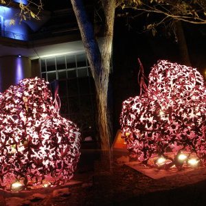 Rigobalti vous Invite à l'inauguration du Salon FRANCHEMENT ART