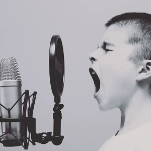 Un Comité Régional des Professions du Spectacle se réunira avant le 10 avril 2021 