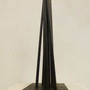 100 oeuvres pour Nice Matin