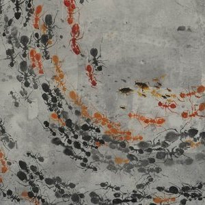 4 raisons de foncer au Musée des Arts Asiatiques !