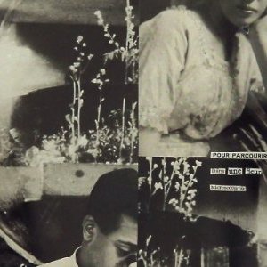 Exposition ALMA à l'Espace GRED