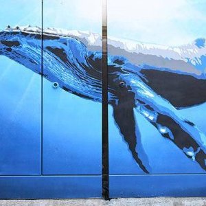 Street Art : à Nice une page dédiée sur internet !