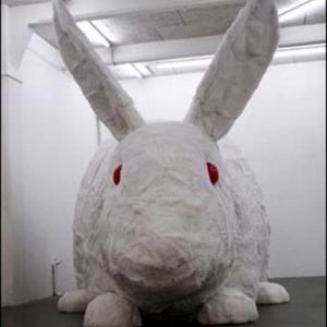 ROUBAIX : Christian Gonzenbach, Zoonomia