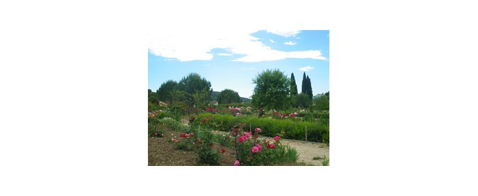 Les Jardins du musée international de la parfumerie