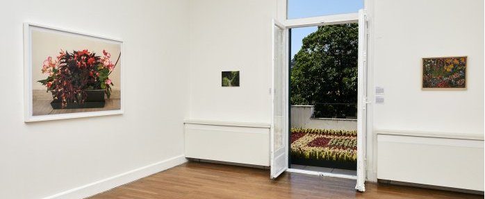 Les fleurs du mâle : pas si naïves...