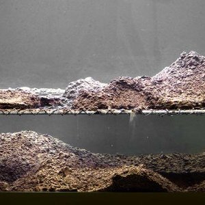 Andreatta chez Marc Piano