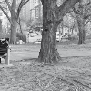 Mitch Epstein "New York arbor" au Musée André Villers 