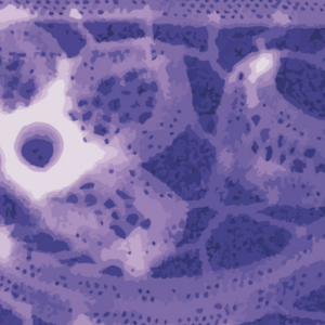 La Médiathèque de Grasse lance un appel à artistes pour sa prochaine exposition "Métamorphoses"