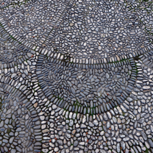 #1 Promenade(S) des Anglais : Du rivage à la Promenade. Une histoire naturelle - GALERIE DES PONCHETTES
